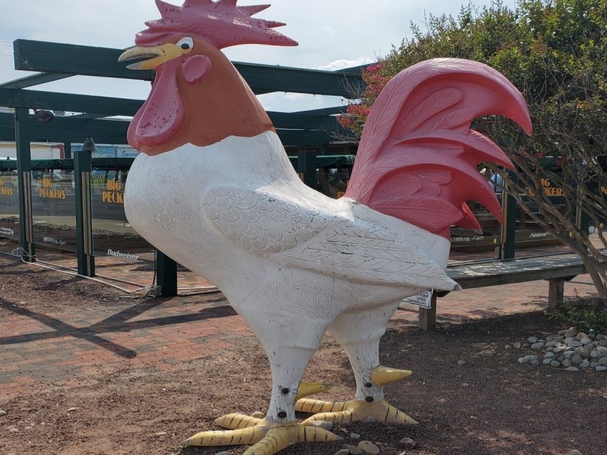 Big Pecker's Bar & Grill