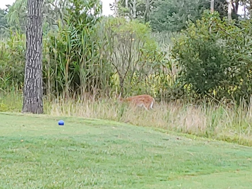 Ocean City Golf Club