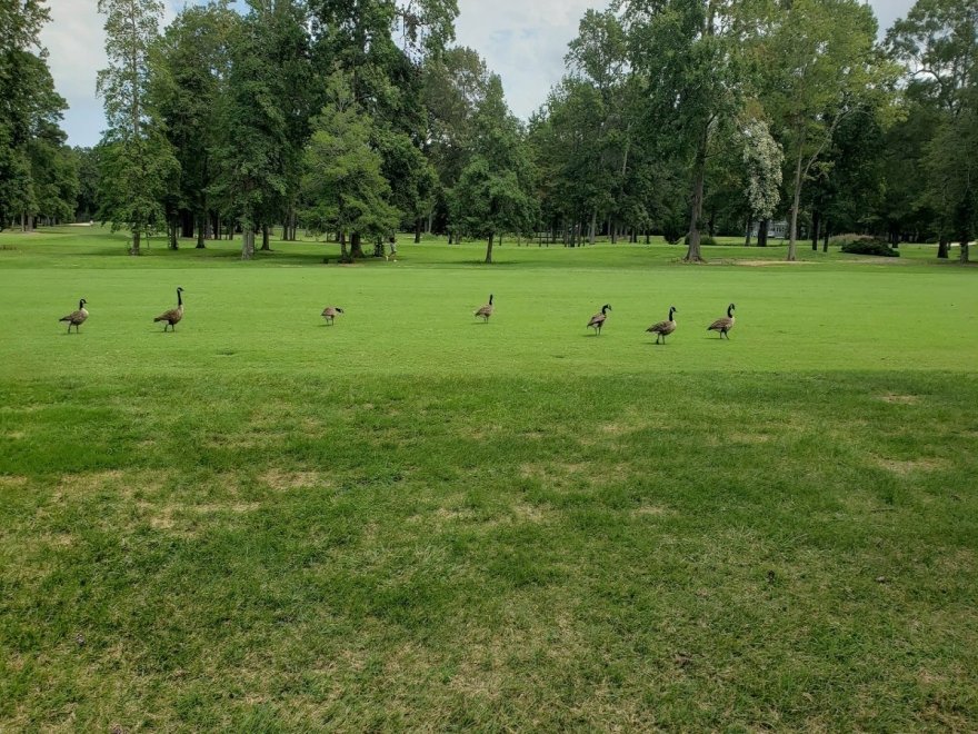 Ocean City Golf Club