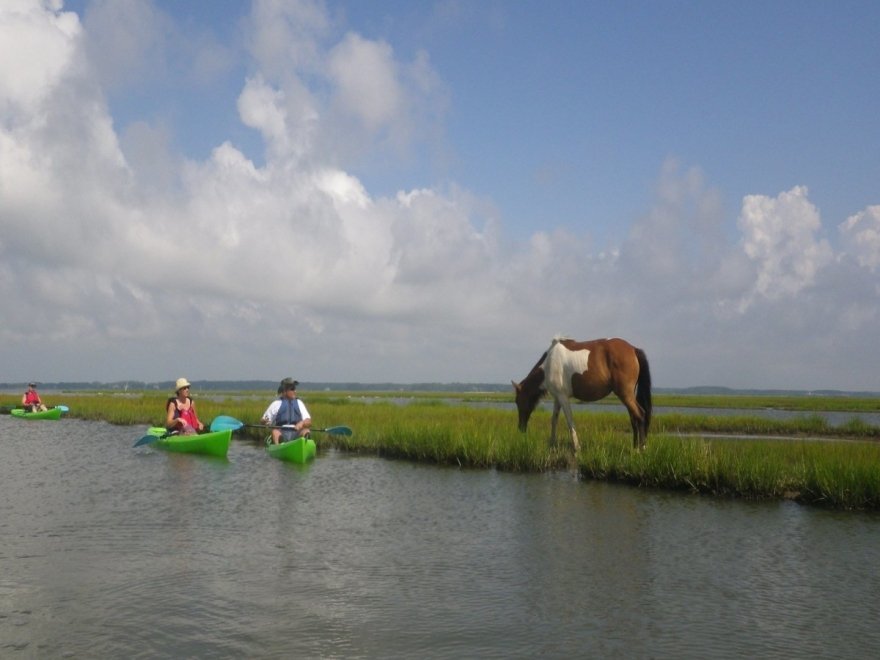 Assateague Outfitters